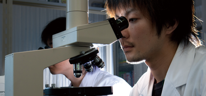 Department of Biomedical Information Sciences