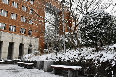 学内の雪景色2