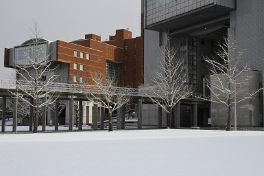学内の雪景色4