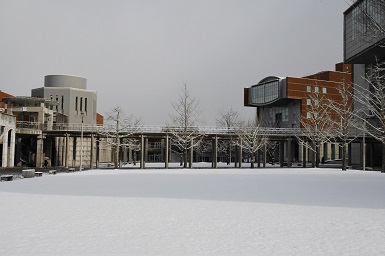 学内の雪景色3