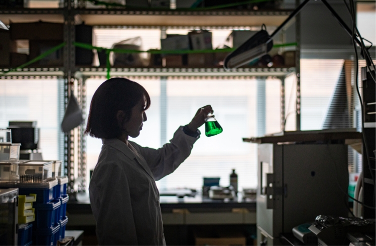 情報科学部