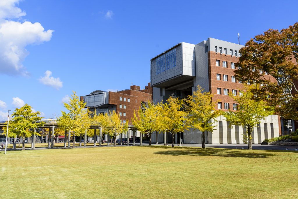 大学のイチョウ1