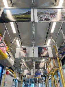 走る美術館車内２