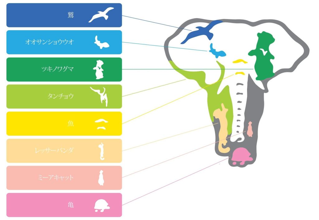 広島市安佐動物公園ロゴマークデザイン説明