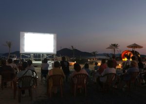 平生アートプロジェクト映像祭画像